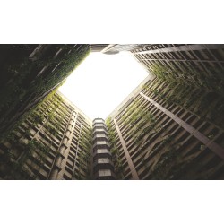 Non-woven wall reinforcement fleece for cracked wall substrates | RD-Mur Fleece Non-woven wall reinforcement fleece for cracked wall substrates | RD-Mur Fleece